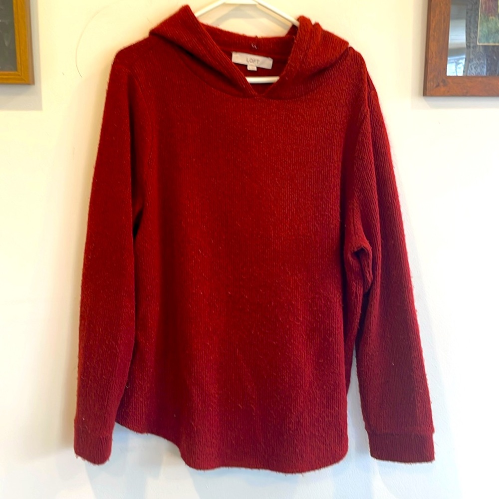 Loft rust colored hooded sweaterXL